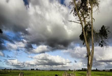 乐鱼-欧冠资格大洗牌！巴萨爆锤法国队改写英超格局，死亡之组今夜剧变