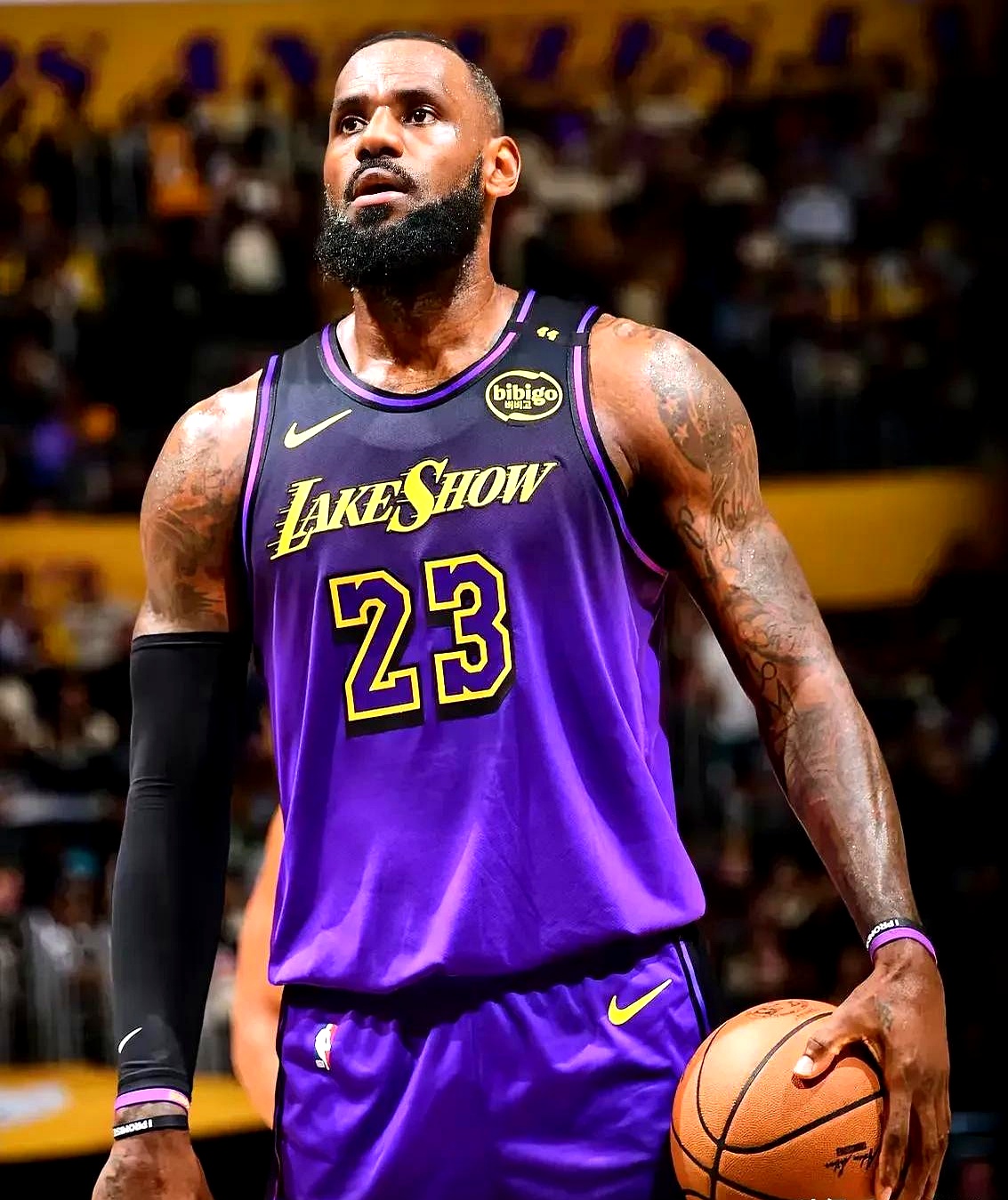 湖人擒灰熊，詹姆斯砍下35分