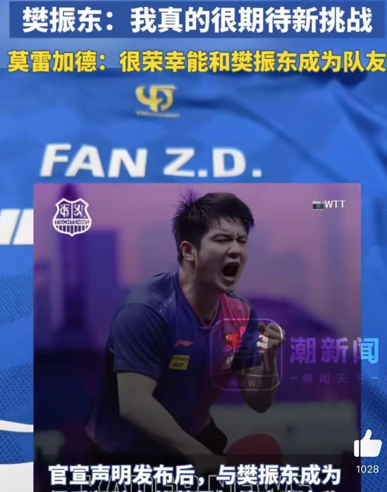 德国乒乓球队绝杀日本乒乓球队，樊振东高光表现